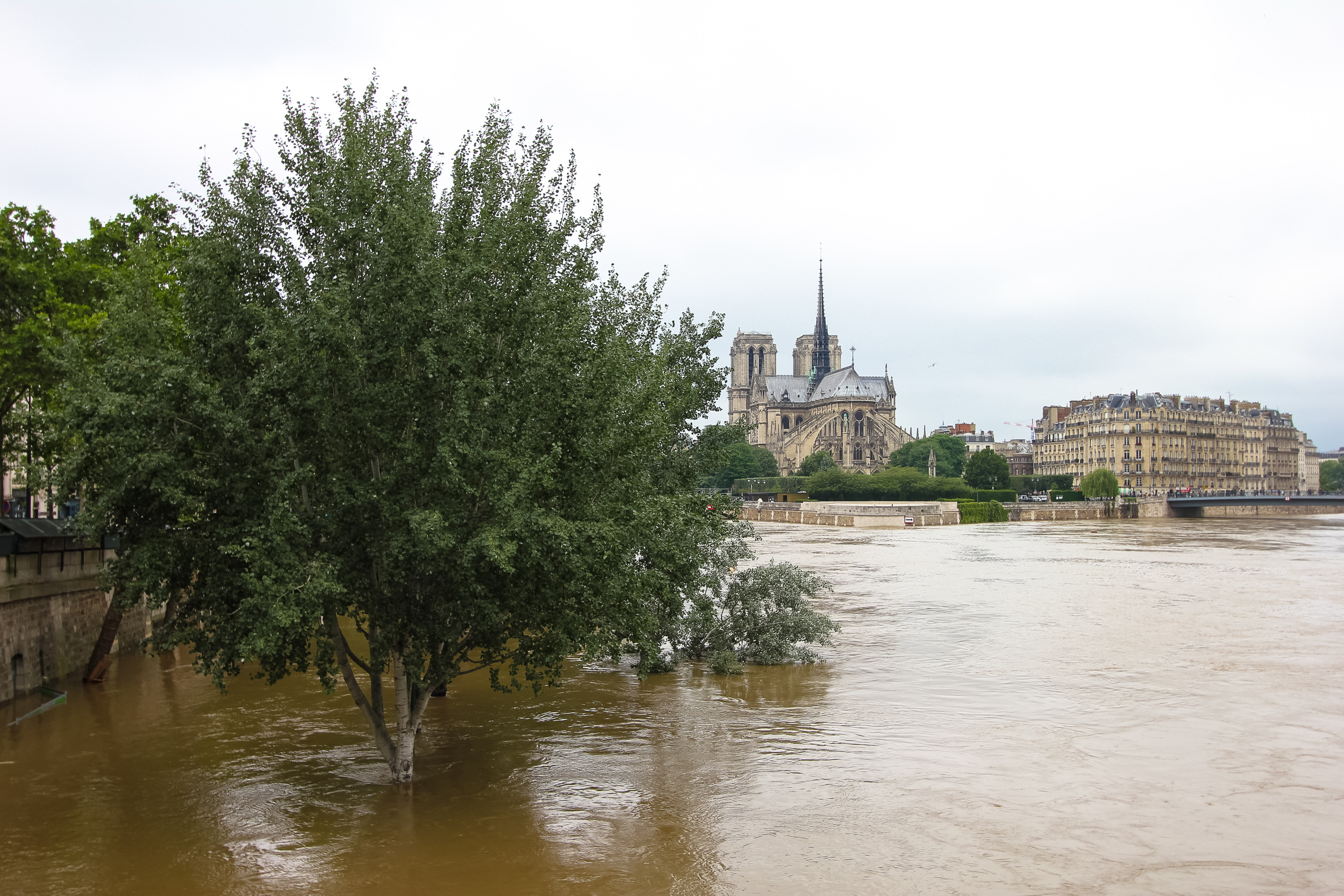 Paris under water